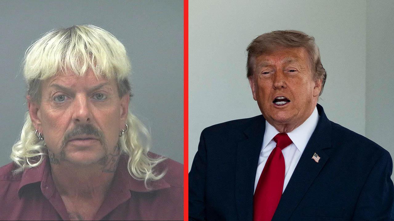 Joe Exotic,Donald Trump