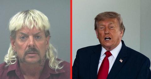 Joe Exotic,Donald Trump