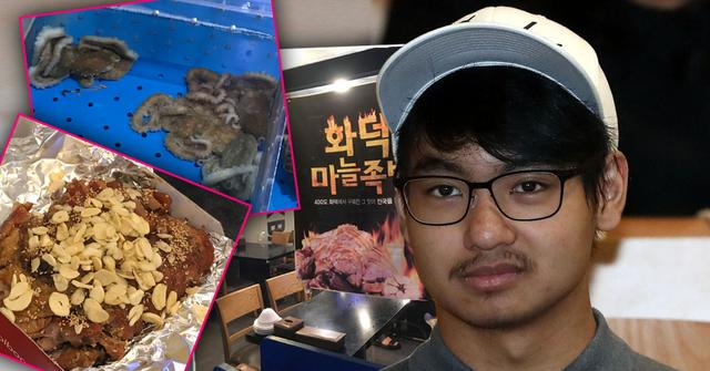 Chicken Anus, Live Octopus, Pigs Feet Inside Maddox Jloie Pitt Meals at South Korea College