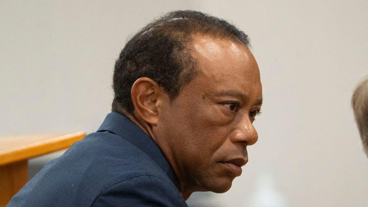 image of Tiger Woods
