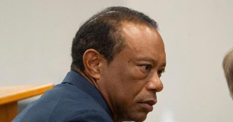 image of Tiger Woods