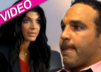 //teresa giudice therapist bravo