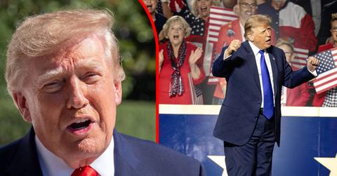 Mental health experts say Donald Trump is not fit to be president.