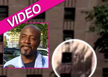 //saint bernard catch girl