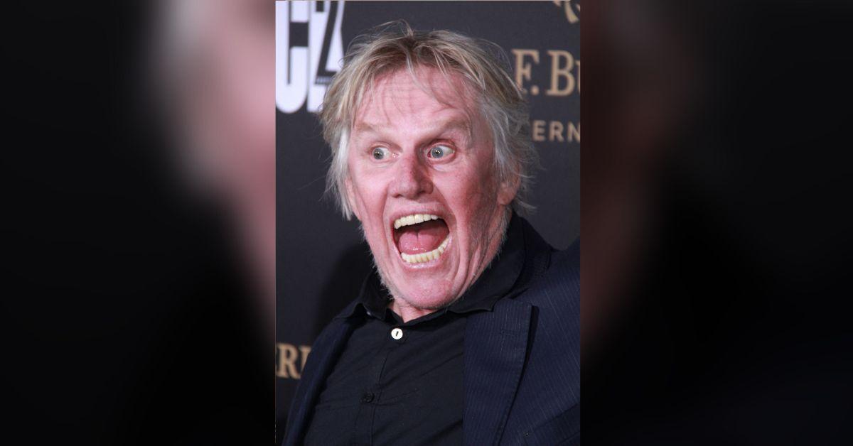 Photo of Gary Busey