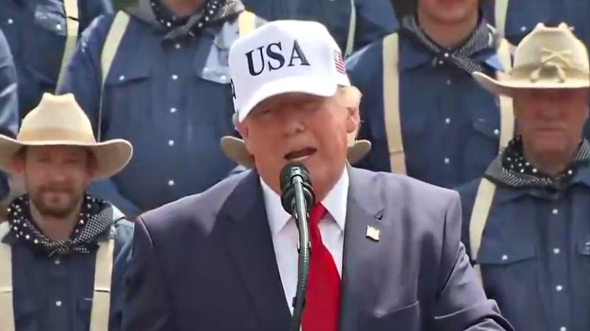 Donald Trump sparked fresh fears for his mental health during a speech.