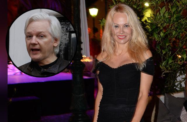 //pamela anderson strikes pose as pal julian assange could get pardon pp