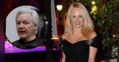 //pamela anderson strikes pose as pal julian assange could get pardon pp