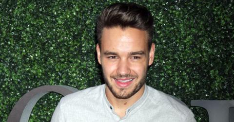 liam payne posthumous album planned