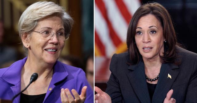 kamala harris shutting out elizabeth warren despite apologies pp