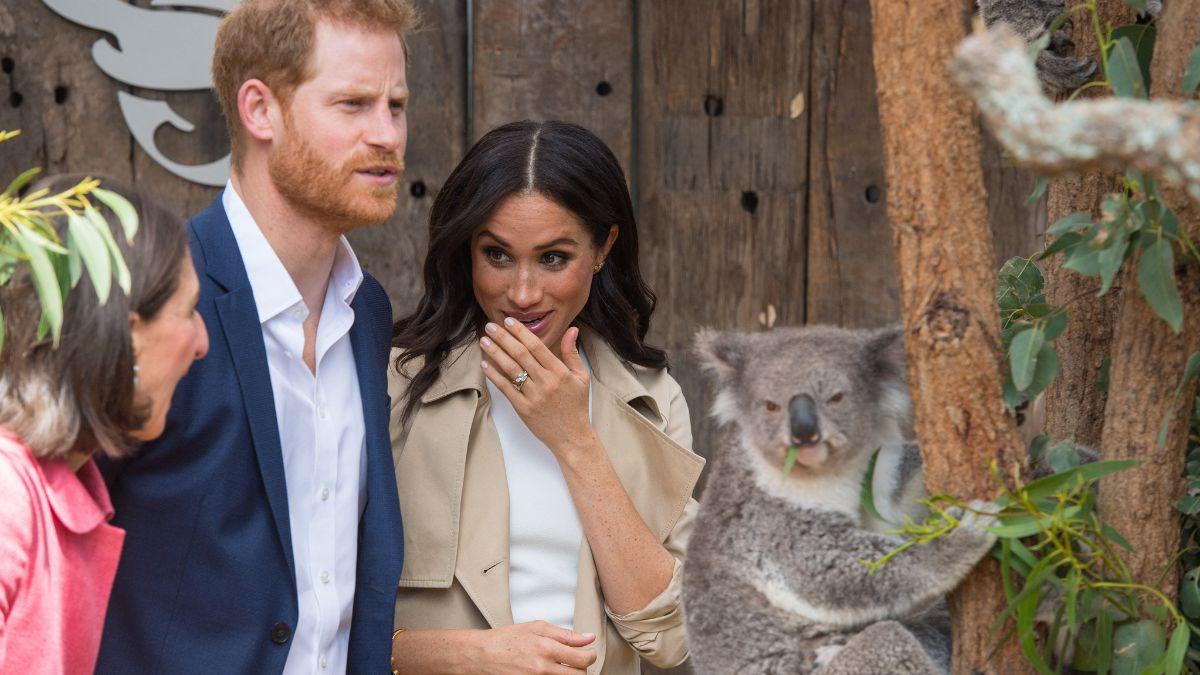 Photo of Meghan Markle and Prince Harry