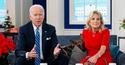 peta defends joe biden biting dog