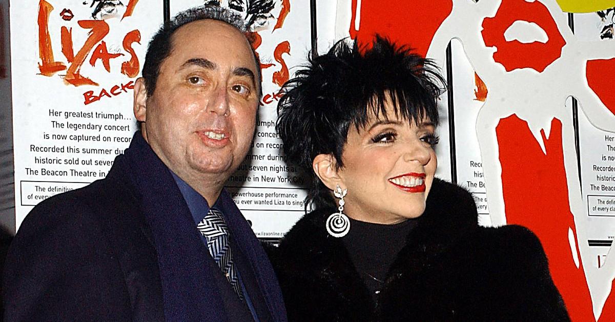 Liza Minnelli claimed she had 'zero' physical attraction to David Gest in her new memoir.