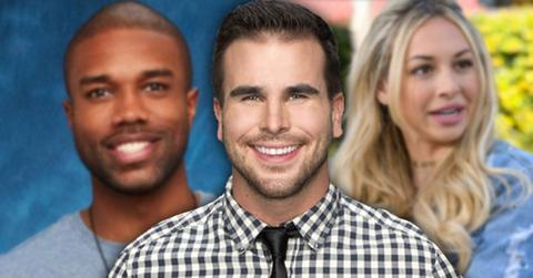 //bachelorette contestant not surprised bachelor in paradise alleged sexual assault pp