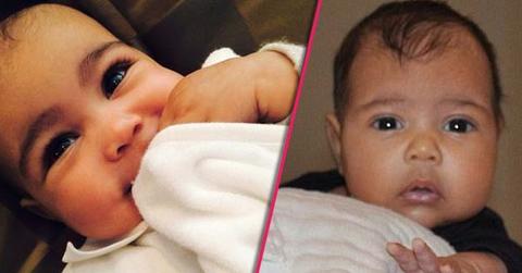 //baby nori eyebrow wax pp wide