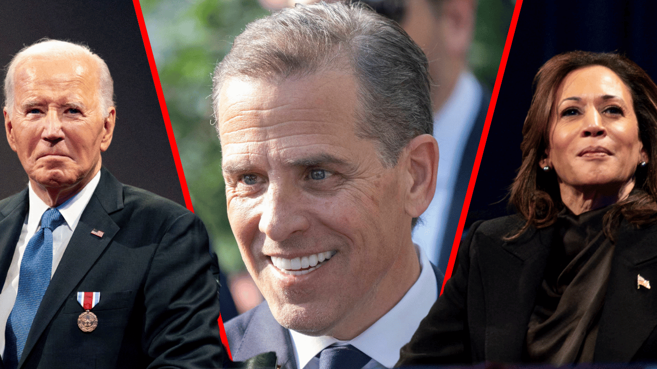 Hunter Biden had some harsh words for his father Joe's former running mate, Kamala Harris.