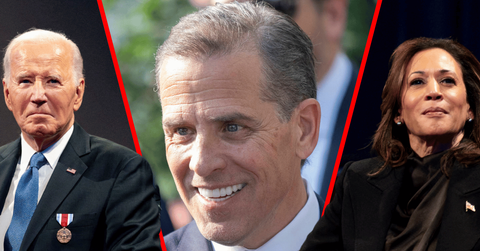 Hunter Biden had some harsh words for his father Joe's former running mate, Kamala Harris.