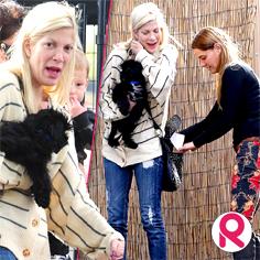 //tori spelling new dog no husband dean mcdermott sq