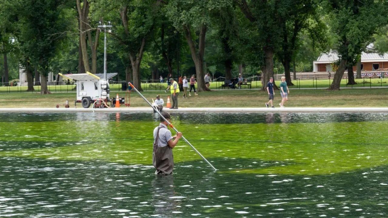 Photo of Reflecting Pool