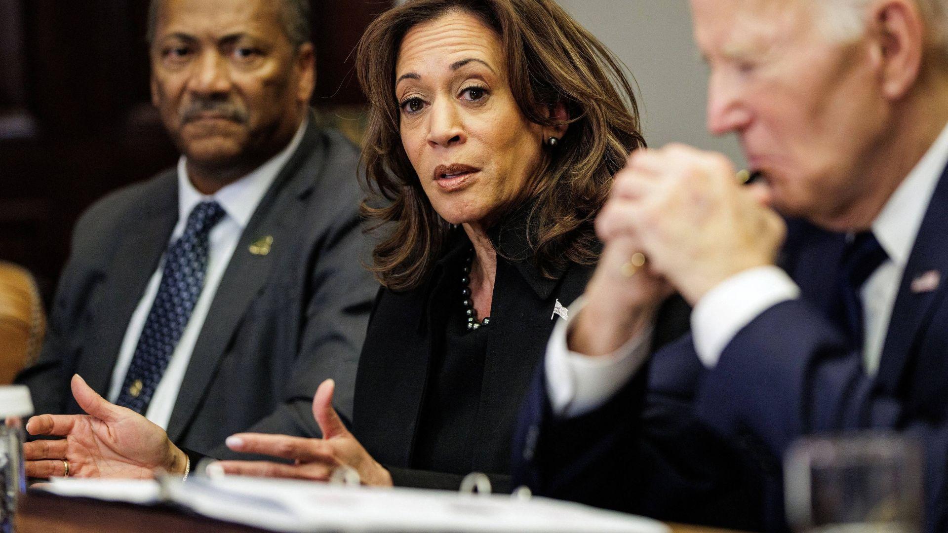 A former Democratic fundraiser claimed Kamala Harris was positioning herself to replace Joe Biden.
