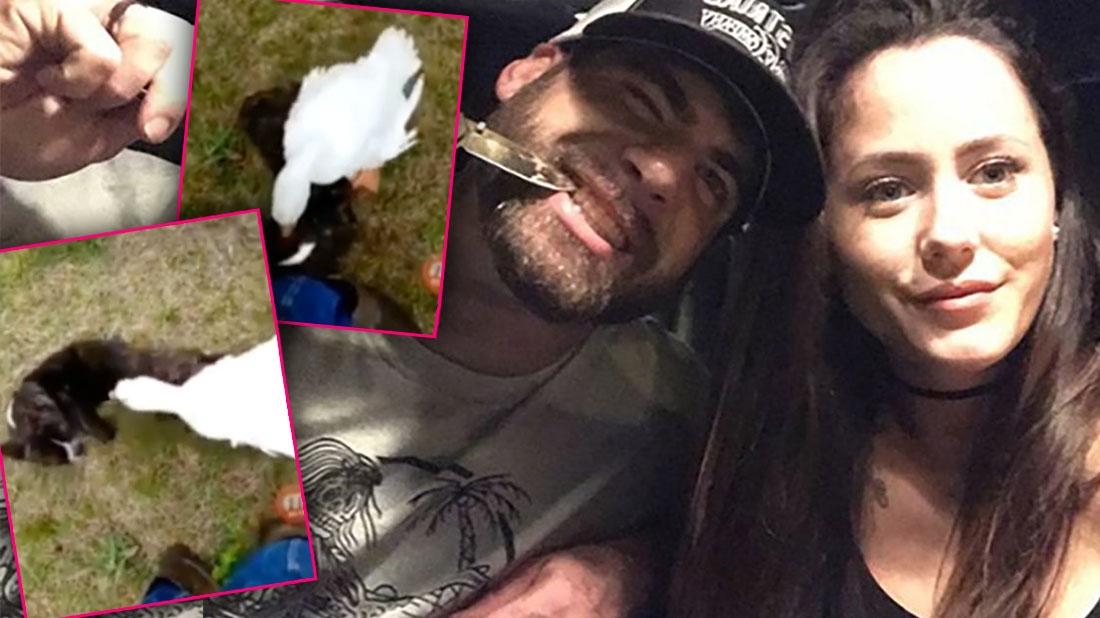 Jenelle & David Abuse Dog Weeks Before Fatal Shooting In Disturbing Video