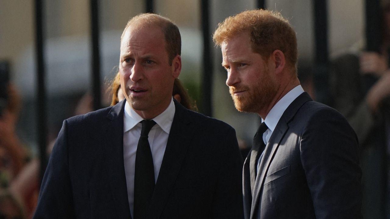 Photo of Princes William and Harry
