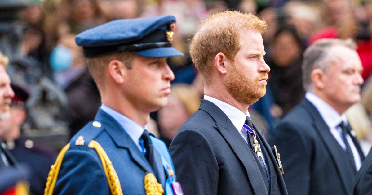 Photo of Prince William and Harry