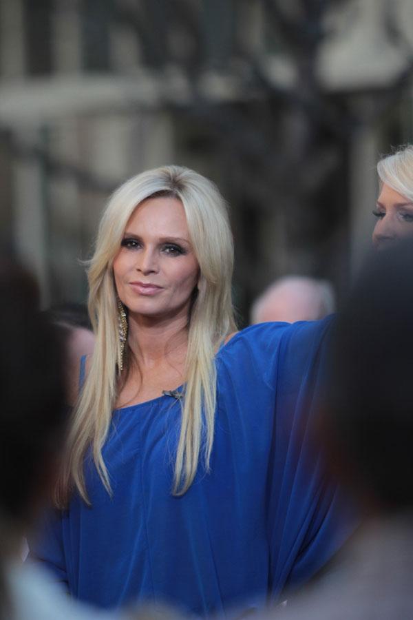 Tamra Barney Custody Case Allegations