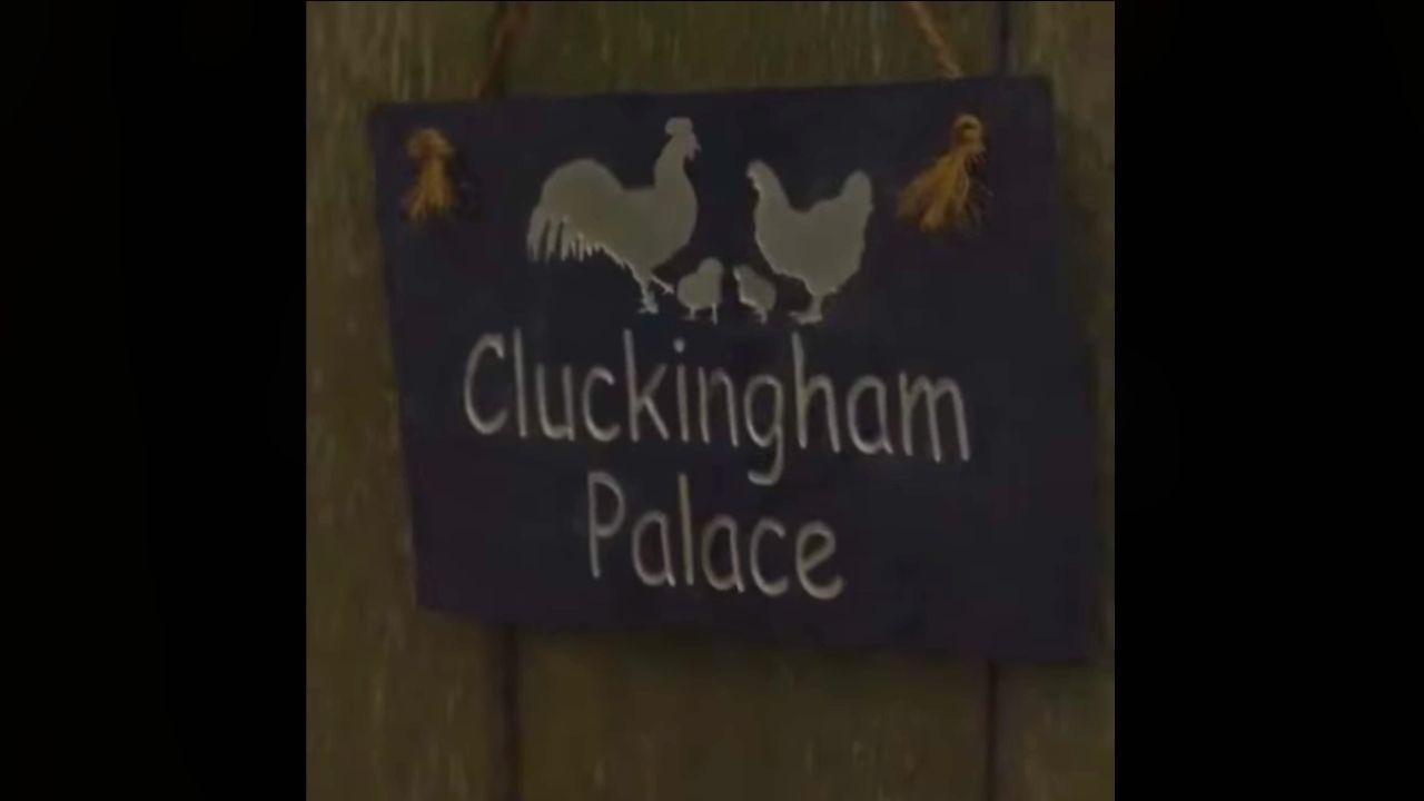 Photo of 'Cluckingham Palace' sign