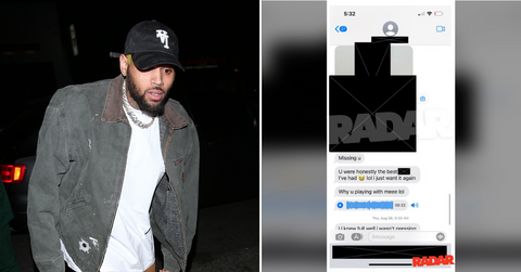 Chris Brown's Alleged Victim's Case Falls Apart According To Texts