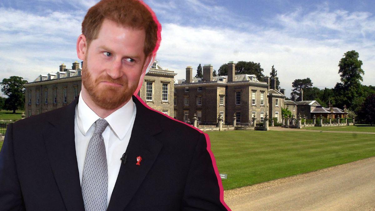 Photo of Prince Harry