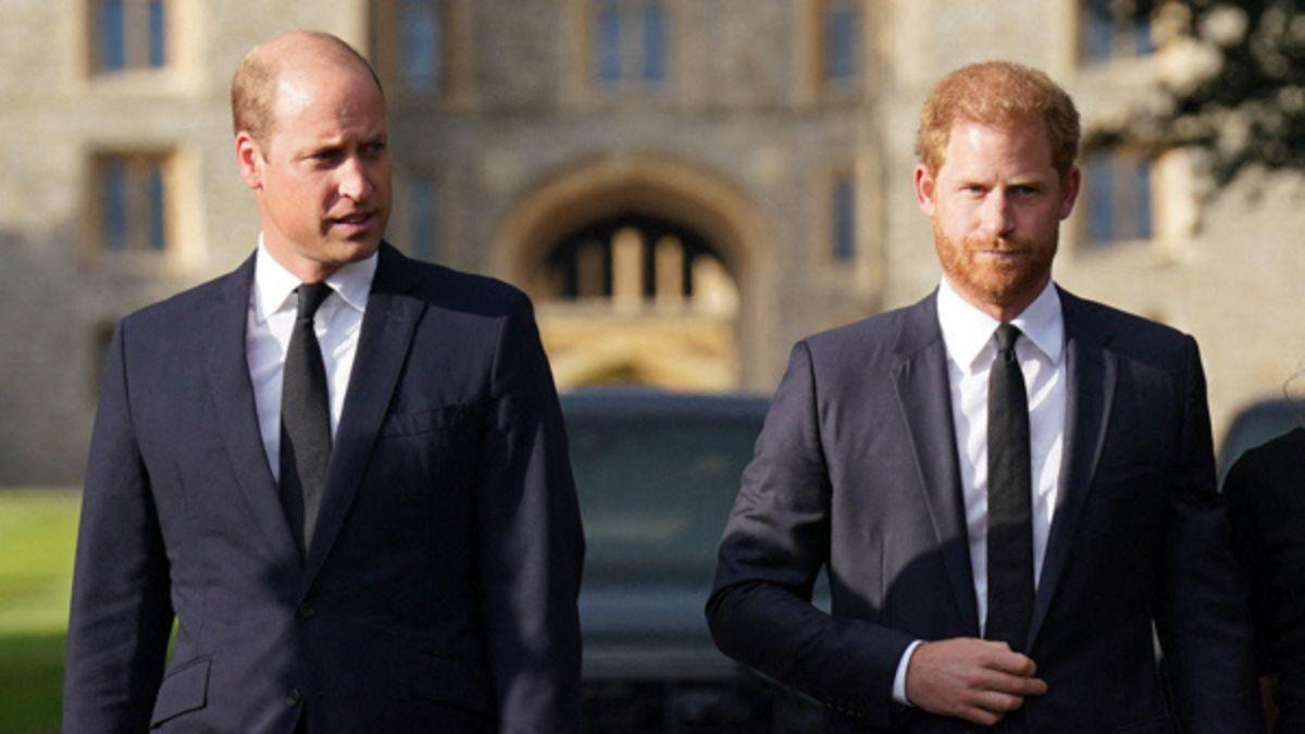Photo of Prince WIlliam and Prince Harry