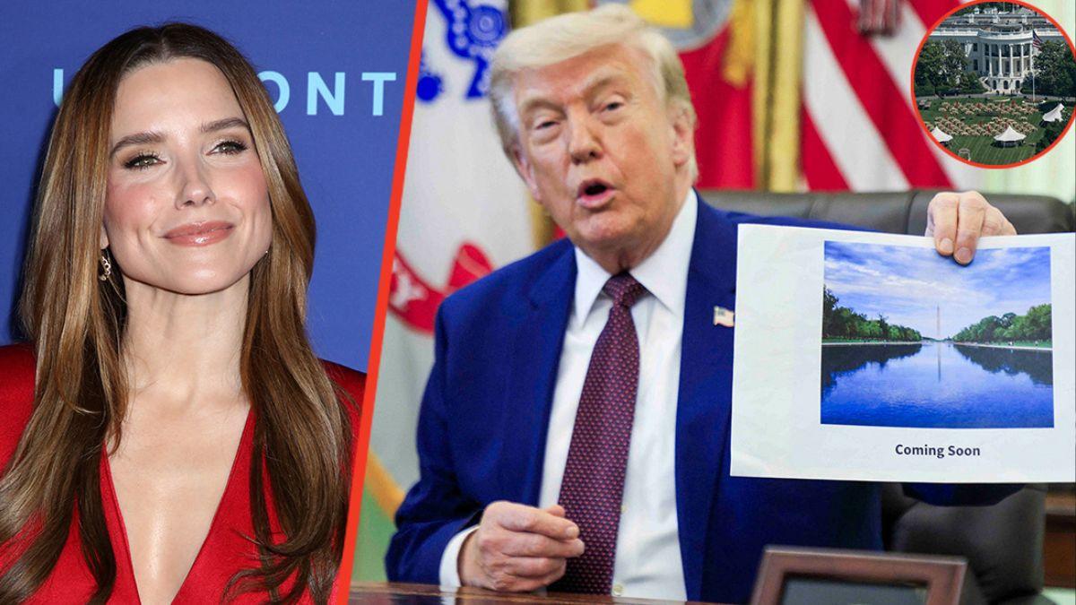 Sophia Bush criticized Donald Trump on 'The View.'