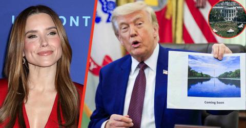 Sophia Bush criticized Donald Trump on 'The View.'