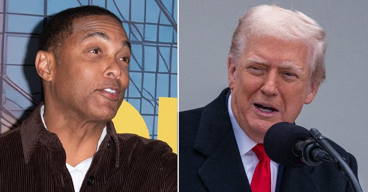 Split photo of Don Lemon, Donald Trump
