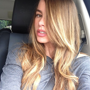 Blonde Ambition! Sofia Vergara Ditches Brunette Look For Lighter Locks!