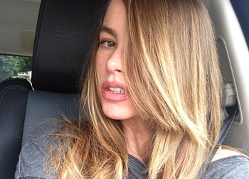 //sofia vergara blonde highlights