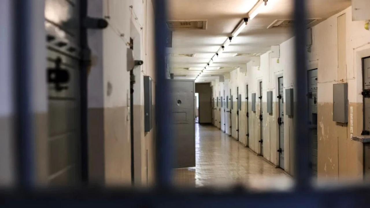 Steele will be evaluated by mental health professionals.