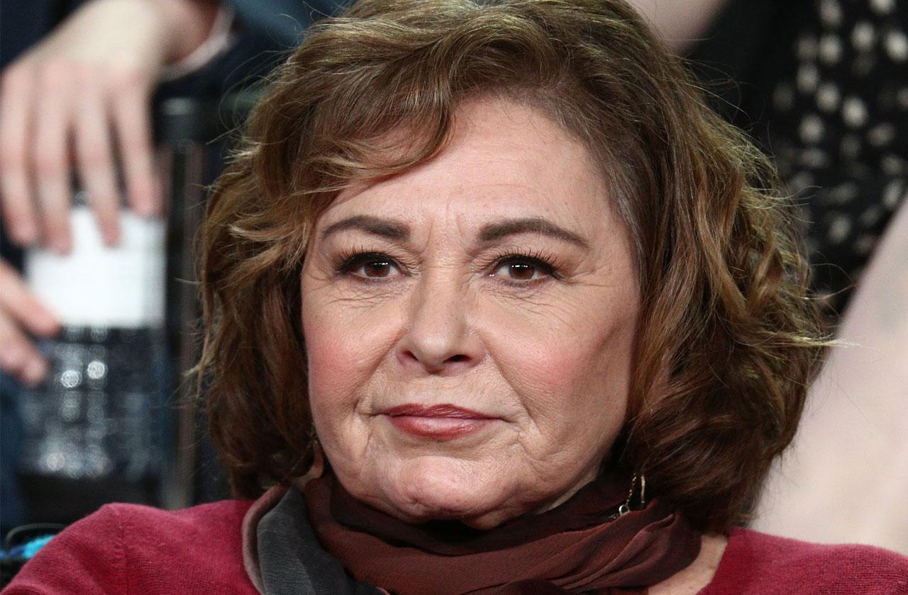 Roseanne Barr First Interview Firing Twitter