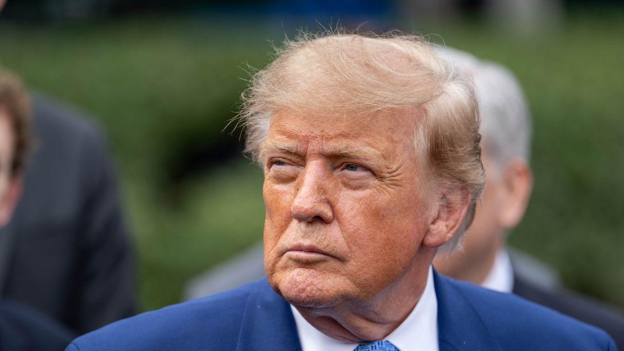 Picture of Donald Trump