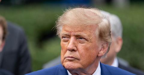 Picture of Donald Trump