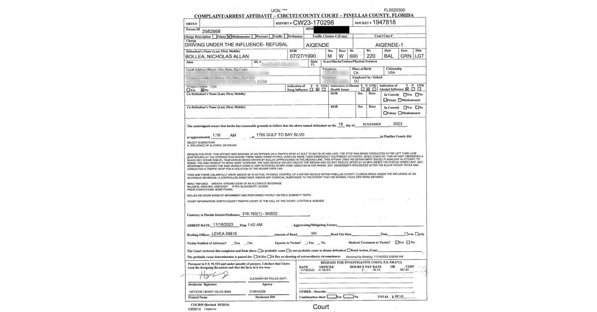 Hulk Hogan's Son Smelled Like Booze During DUI Arrest: Police Report