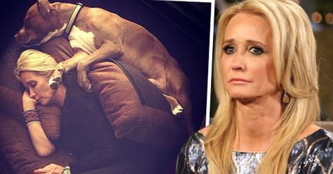 //kim richards sends pitbull away