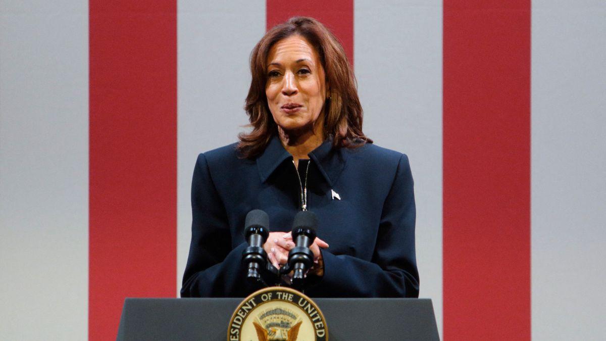 Hines believes Handler targeted RFK Jr. over political frustrations tied to Kamala Harris' 2024 election loss.
