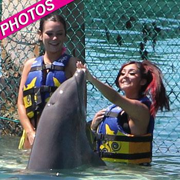 //snooki jwoww dolphins post