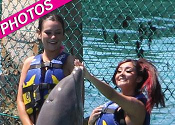 //snooki jwoww dolphins post