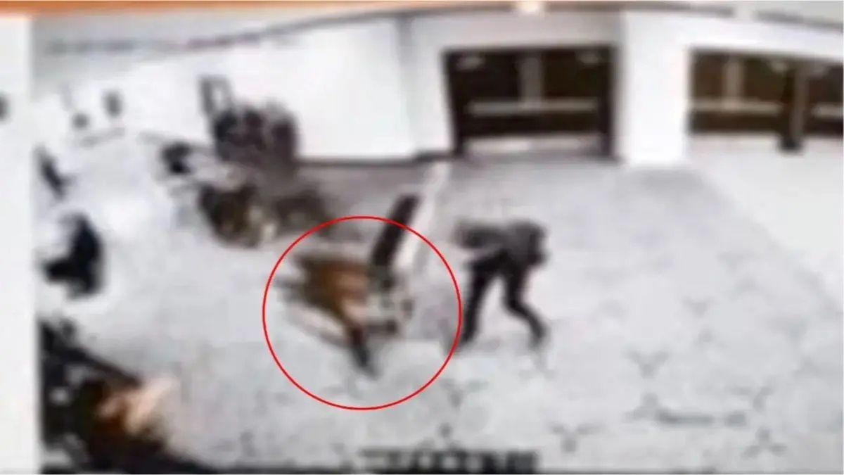 Cole Allen and Secret Services