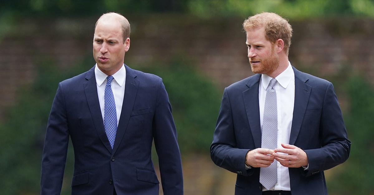 prince william harry slammed phone meghan markle bullying