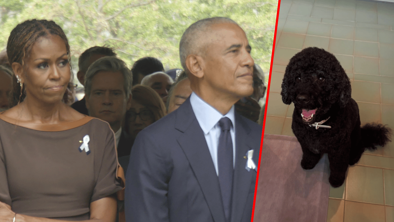 The 13-year-old Portuguese water dog was adopted by the first family during Barack's second term.