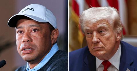 split image of Tiger Woods and Donald Trump